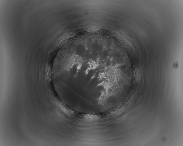 X0000097990234200804021015