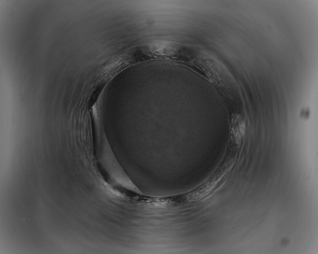 X0000097990235200804021015