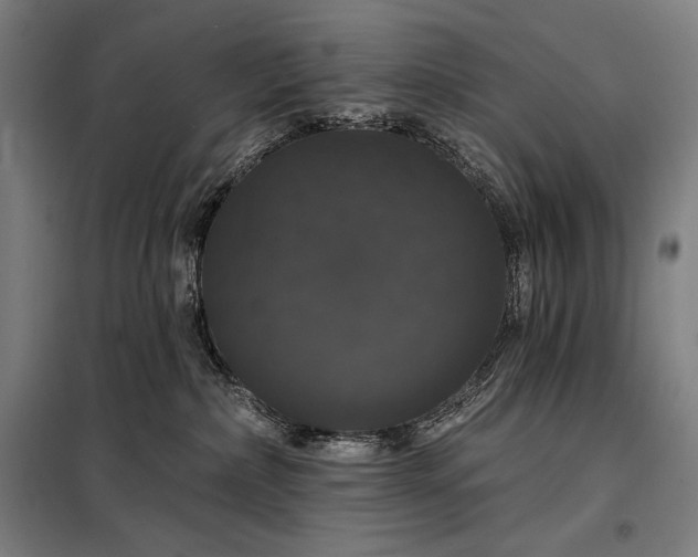 X0000097990236200804021015