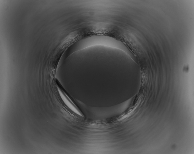 X0000097990237200804021015