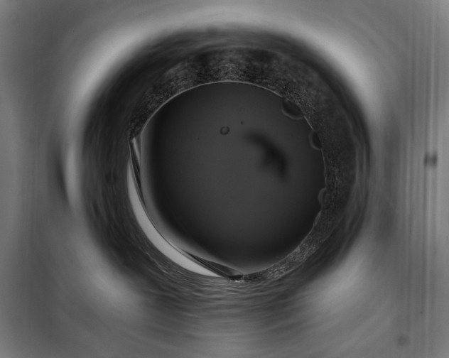 X0000097990239200804021015