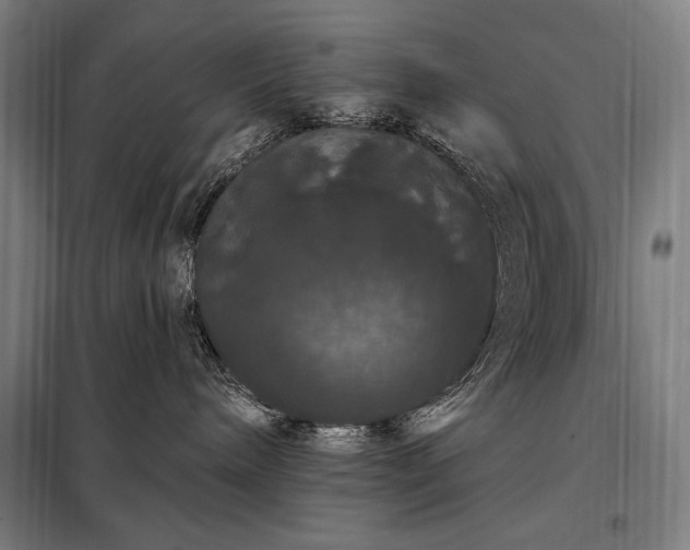 X0000097990240200804021015