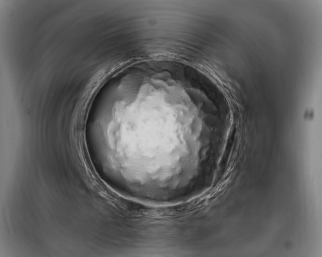 X0000097990241200804021014