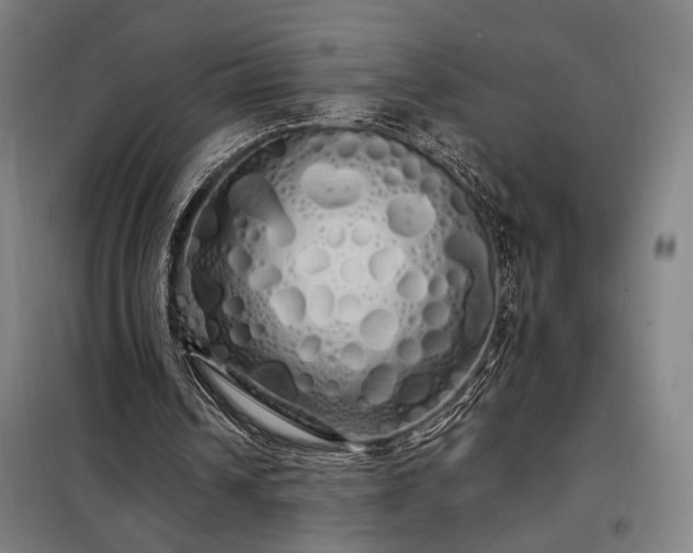 X0000097990242200804021014