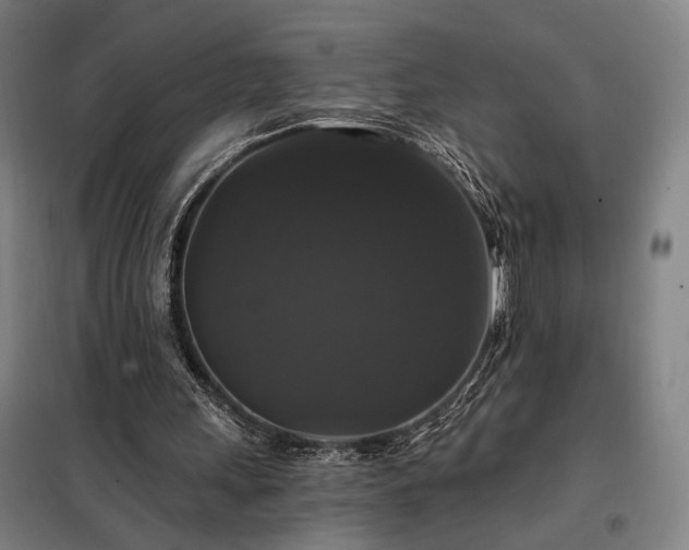 X0000097990243200804021015