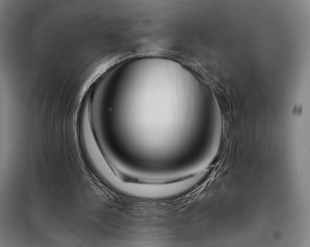X0000097990244200804021015