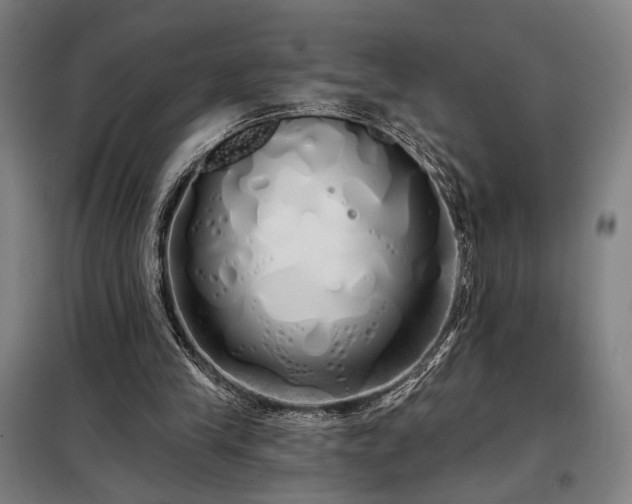 X0000097990245200804021015