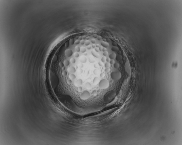 X0000097990246200804021015