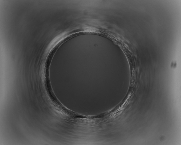 X0000097990247200804021015