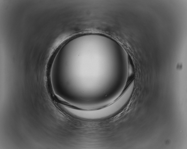 X0000097990248200804021015