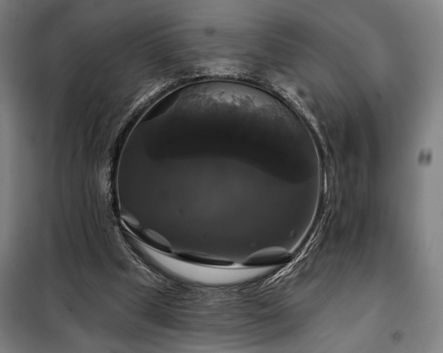 X0000097990249200804021015