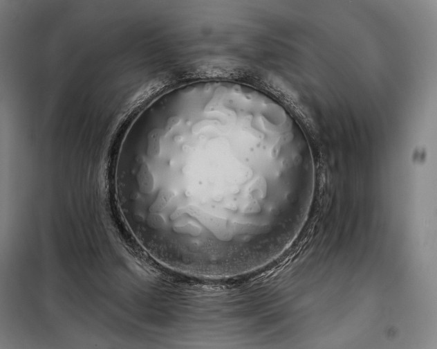 X0000097990250200804021015