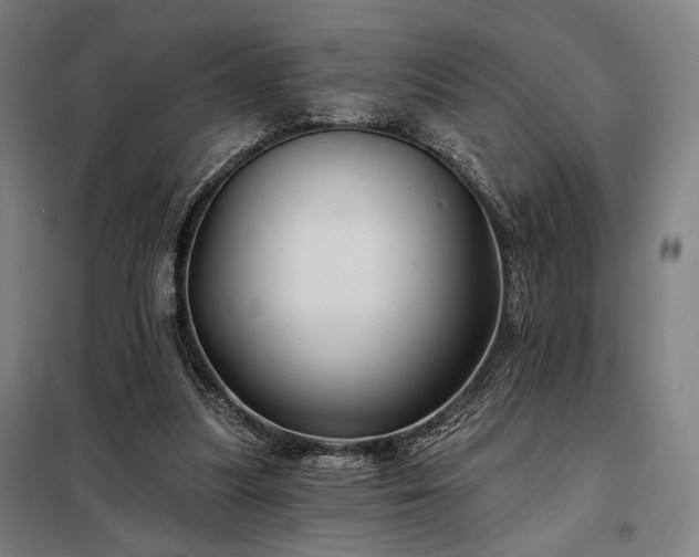 X0000097990251200804021015