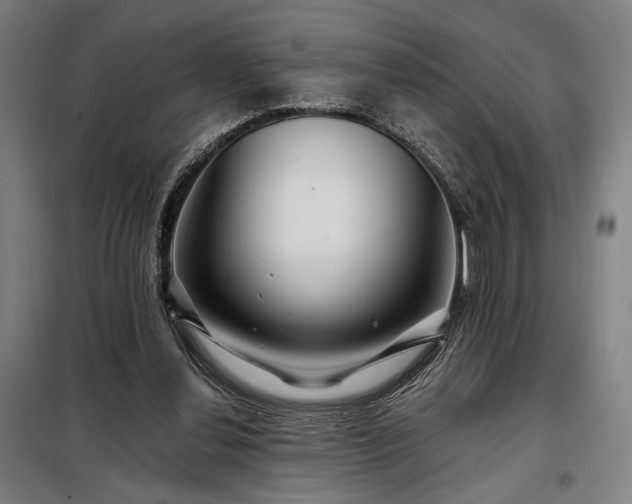X0000097990252200804021015