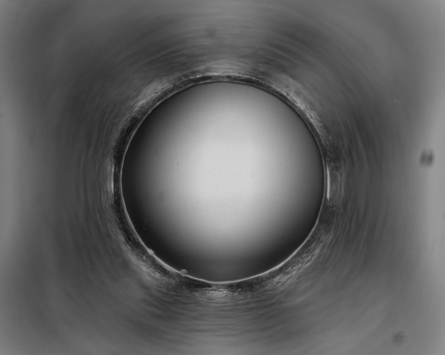 X0000097990253200804021015