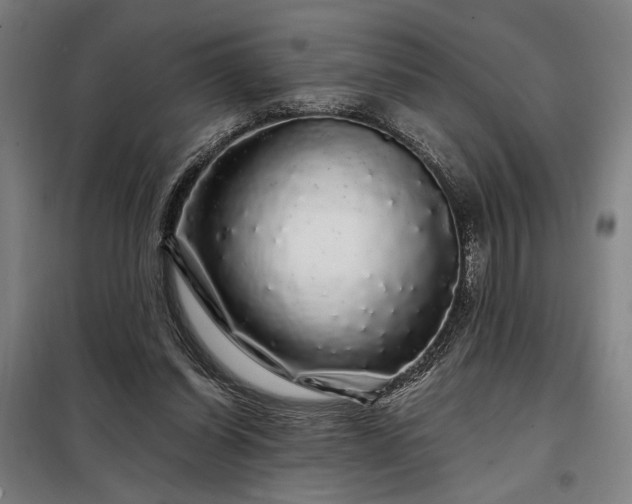 X0000097990254200804021015