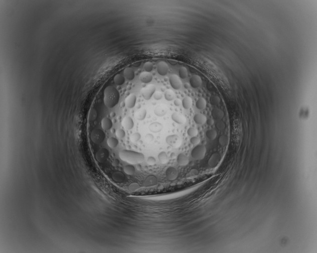 X0000097990255200804021015
