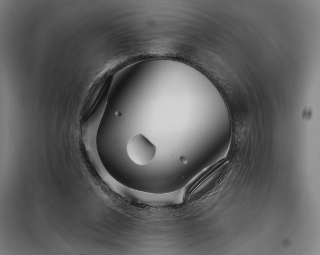 X0000097990256200804021015