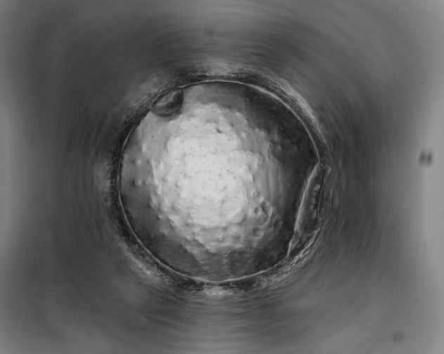 X0000097990257200804021015