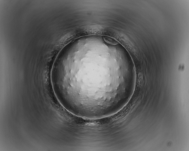 X0000097990259200804021015