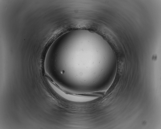 X0000097990260200804021015