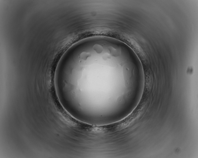 X0000097990261200804021015