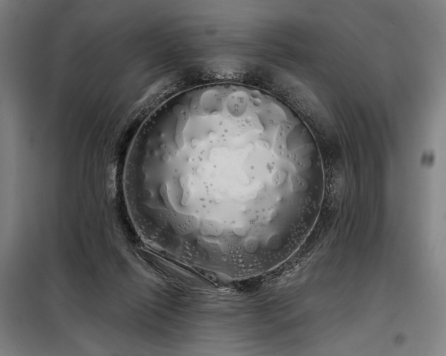 X0000097990262200804021015