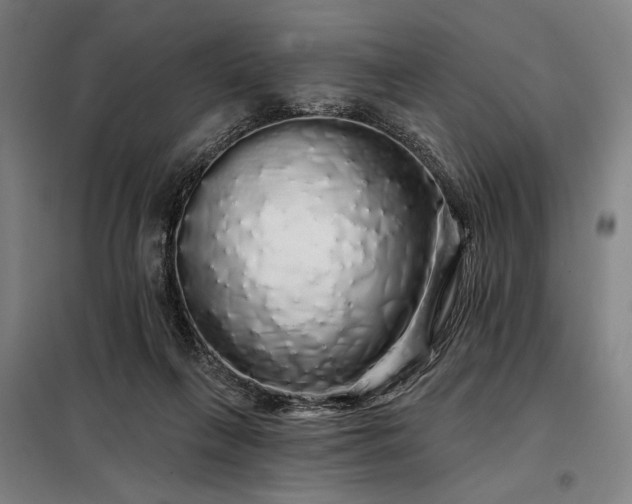 X0000097990263200804021015