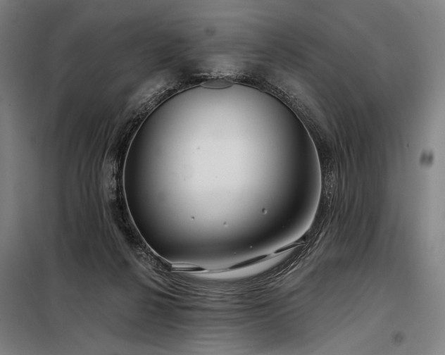 X0000097990264200804021015