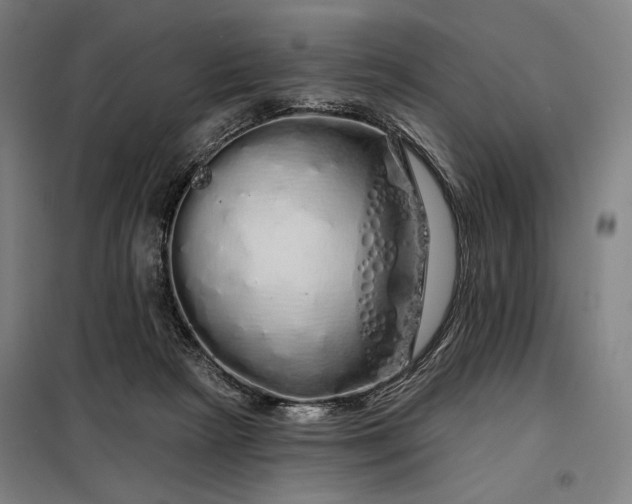 X0000097990265200804021015