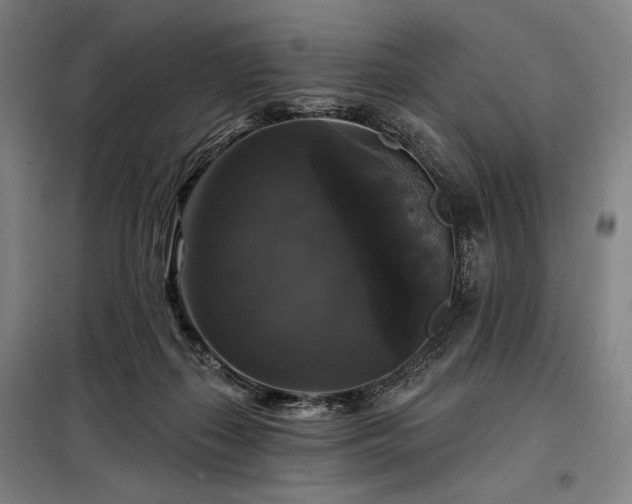 X0000097990267200804021015