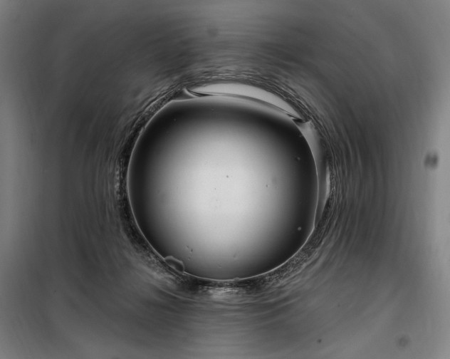 X0000097990268200804021015