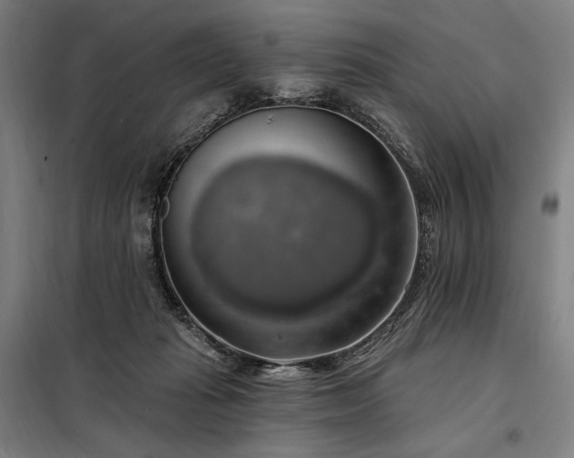 X0000097990269200804021015