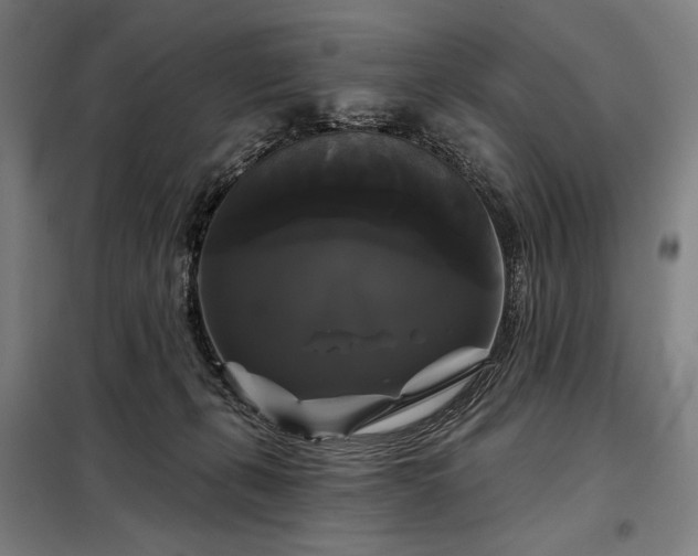 X0000097990271200804021015