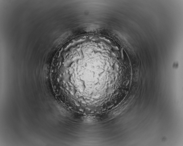 X0000097990273200804021015