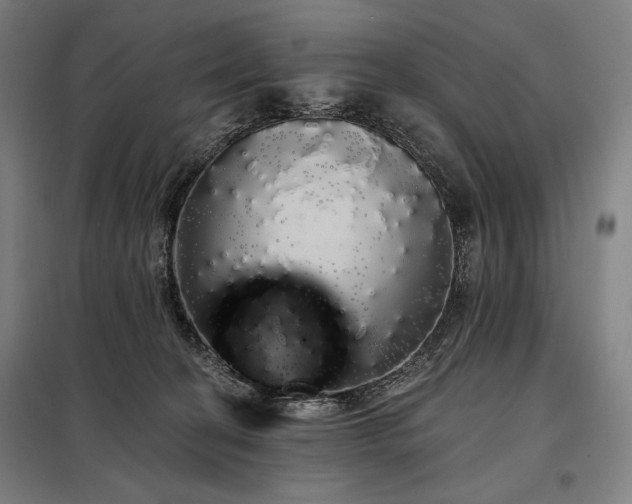 X0000097990274200804021015