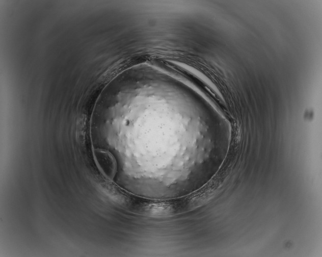 X0000097990275200804021015