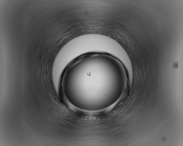 X0000097990276200804021015