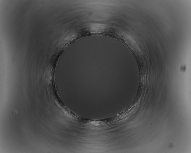 X0000097990277200804021015