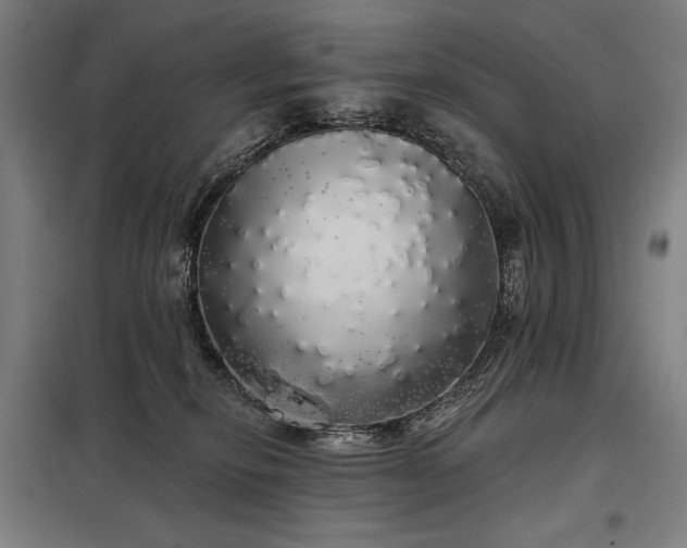 X0000097990278200804021015