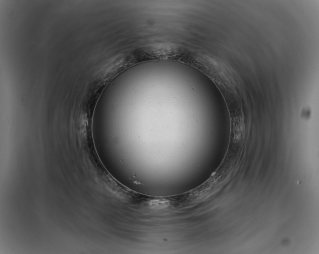 X0000097990279200804021015