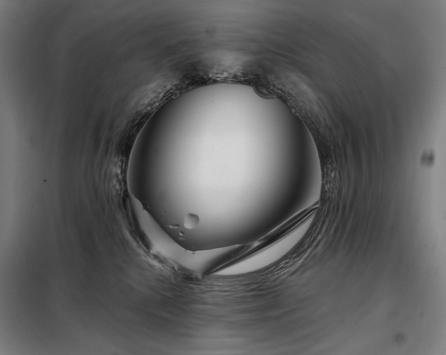 X0000097990280200804021015