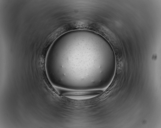 X0000097990281200804021015