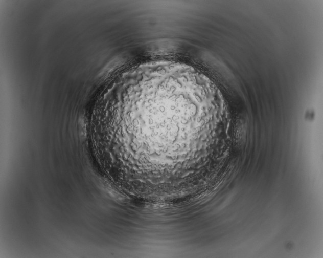 X0000097990282200804021015