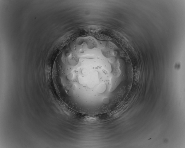 X0000097990283200804021015