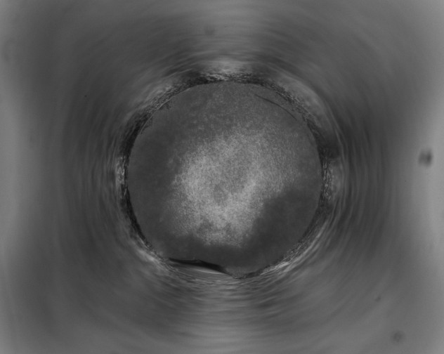 X0000097990284200804021015