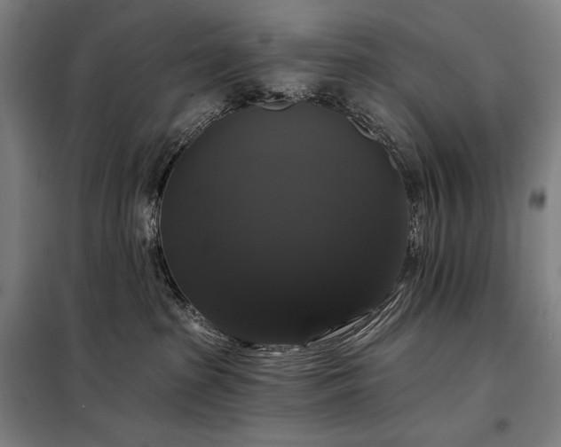 X0000097990285200804021015