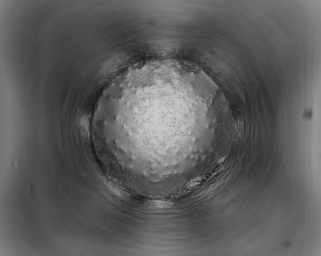X0000097990286200804021015