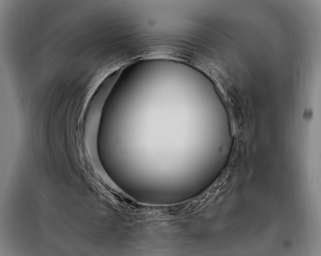 X0000097990289200804021014