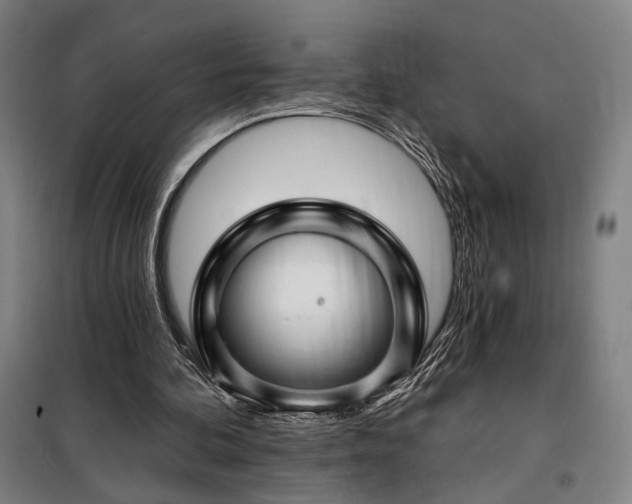 X0000097990292200804021014